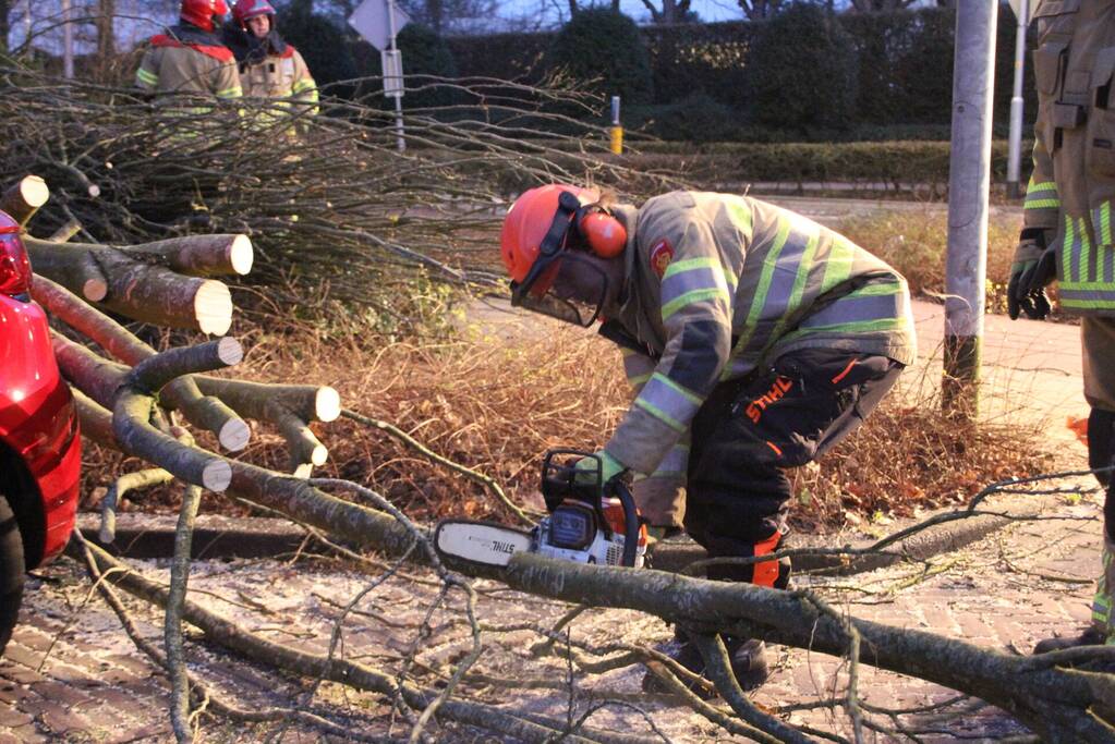 Autoruit gesneuveld door omgewaaide boom storm Dudley