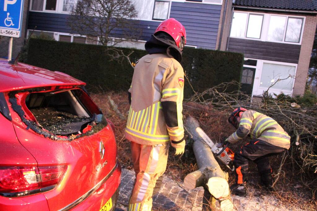 Autoruit gesneuveld door omgewaaide boom storm Dudley