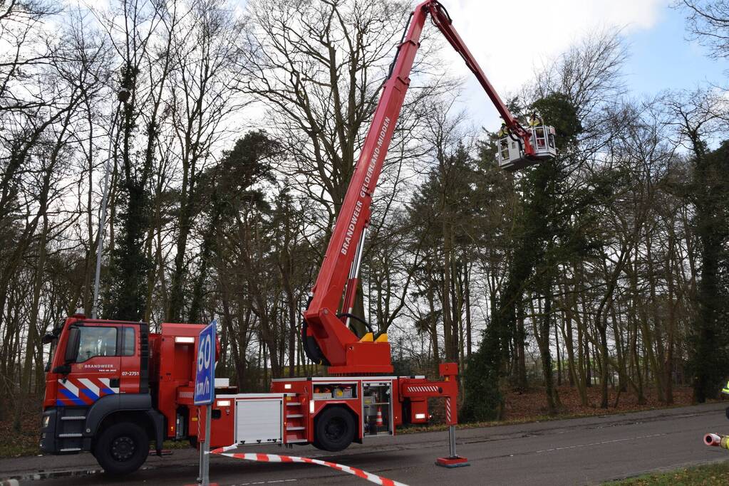 Brandweer laat boom gecontroleerd omvallen