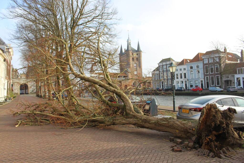 Boom waait rakelings om achter auto