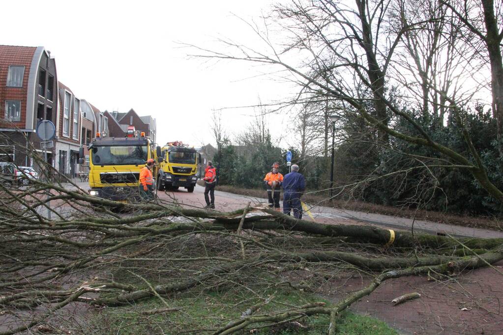 Boom blokkeert weg bij winkelcentrum