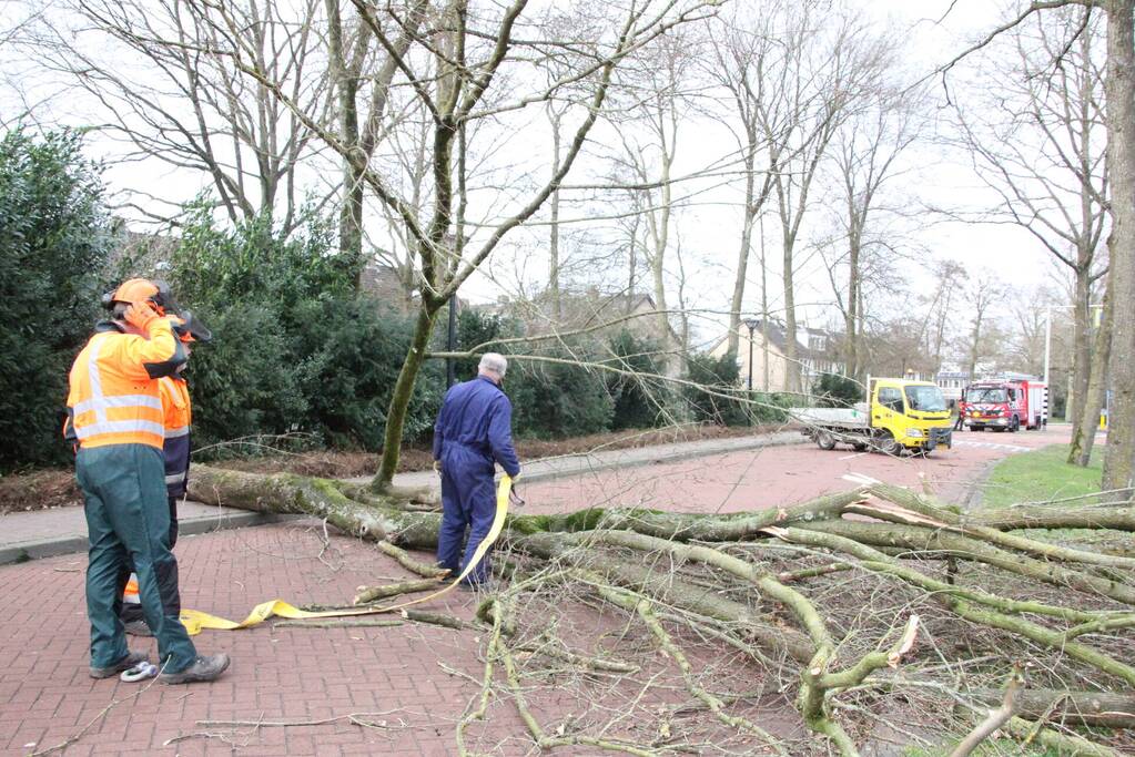 Boom blokkeert weg bij winkelcentrum