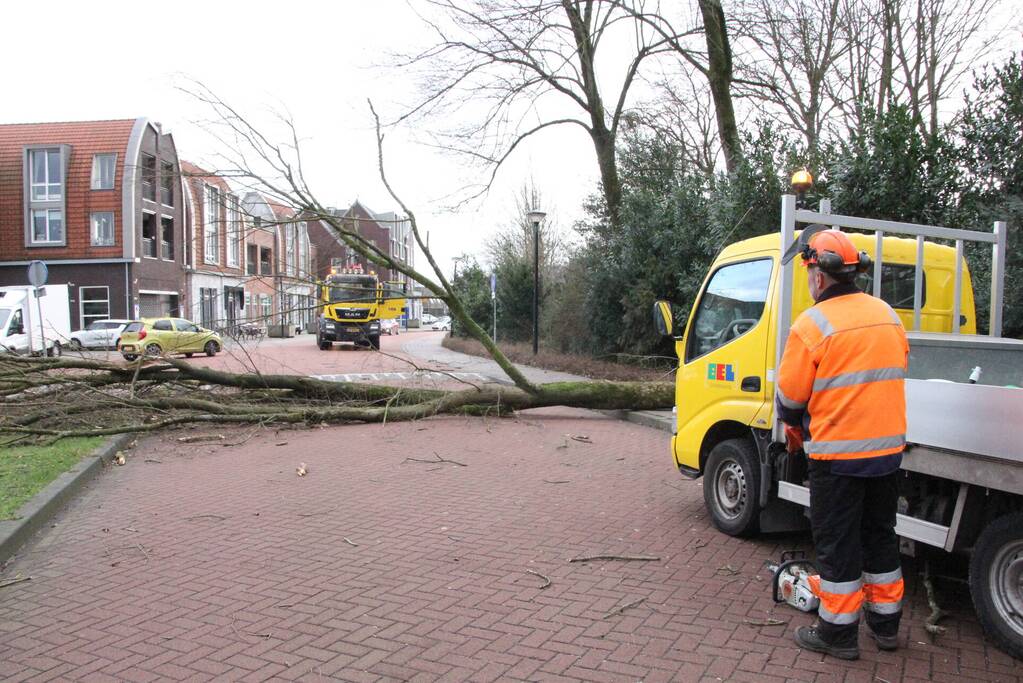 Boom blokkeert weg bij winkelcentrum