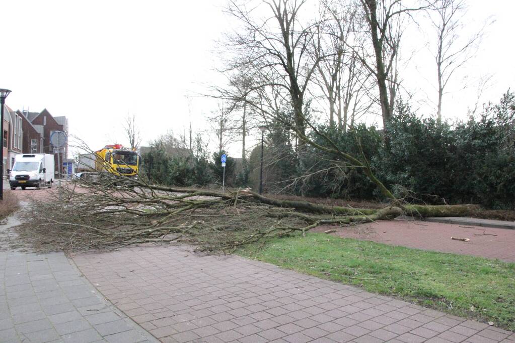 Boom blokkeert weg bij winkelcentrum