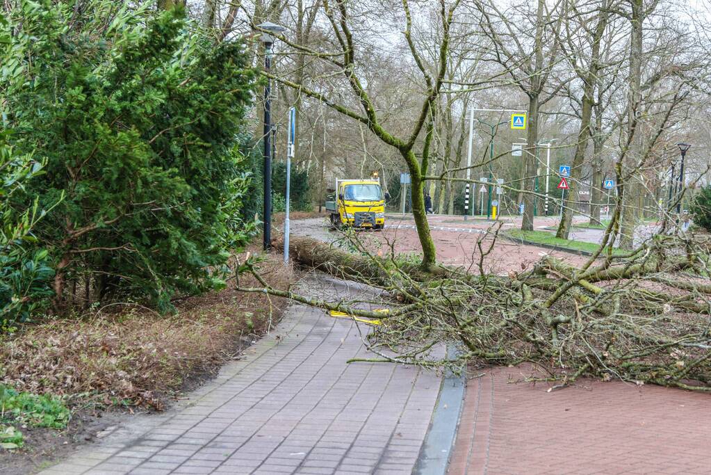 Boom blokkeert weg bij winkelcentrum