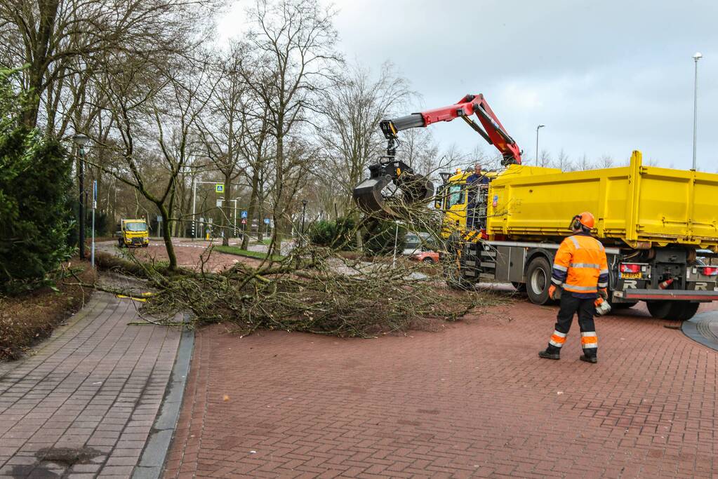 Boom blokkeert weg bij winkelcentrum