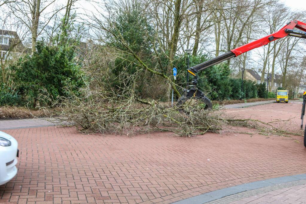 Boom blokkeert weg bij winkelcentrum