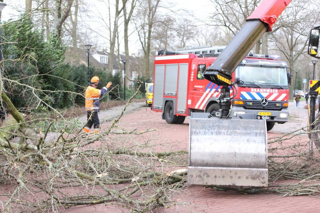 Boom blokkeert weg bij winkelcentrum