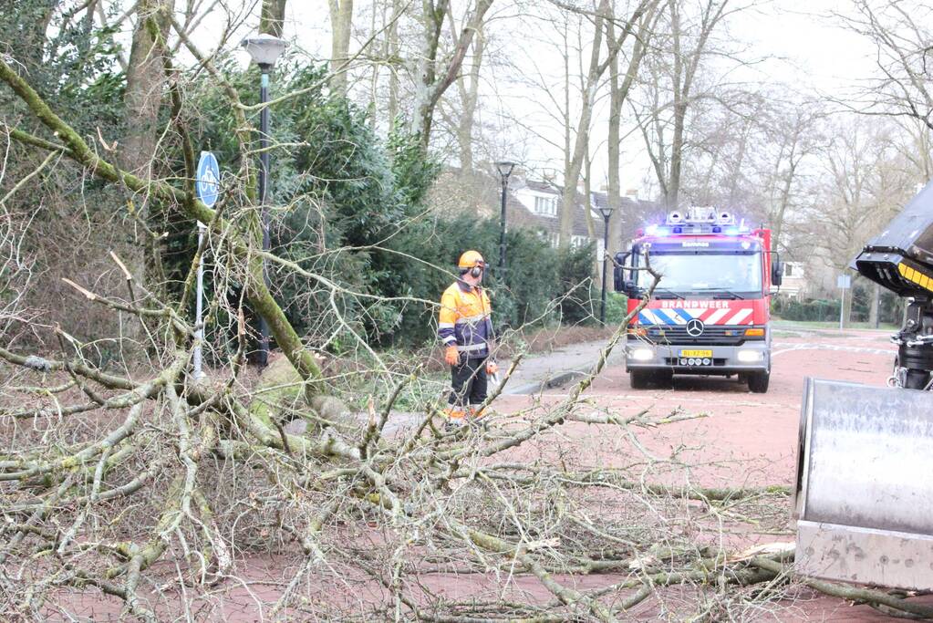 Boom blokkeert weg bij winkelcentrum