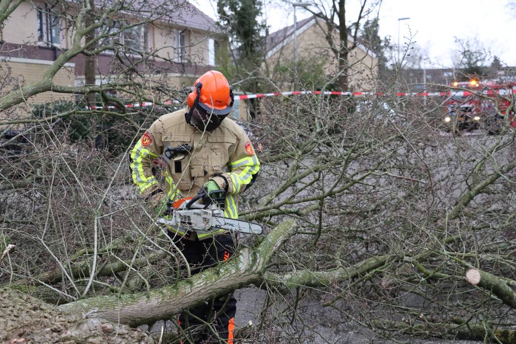 Drie bomen waaien om in dezelfde straat