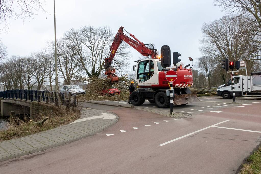 Twee auto's beschadigd door grote boom