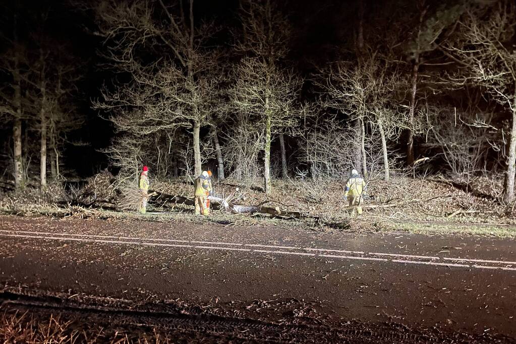 Brandweer verwijdert boom op weg