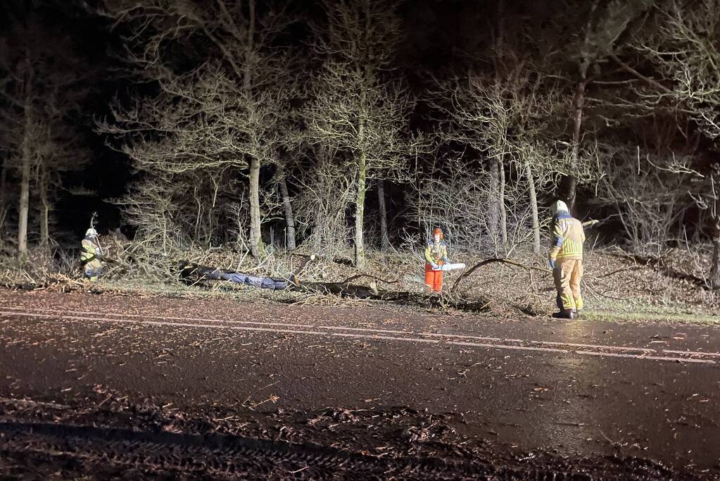 Brandweer verwijdert boom op weg