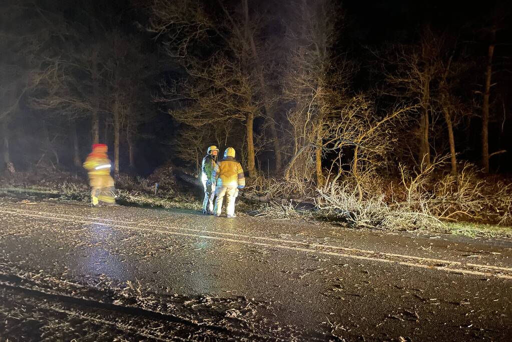 Brandweer verwijdert boom op weg