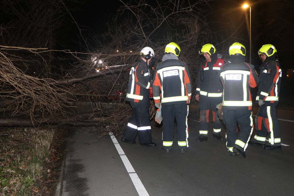 Omgevallen boom blokkeert weg