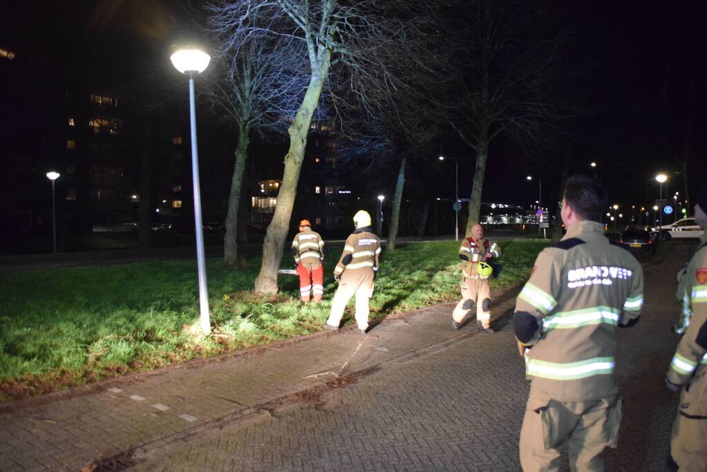 Brandweer zaagt boom omver