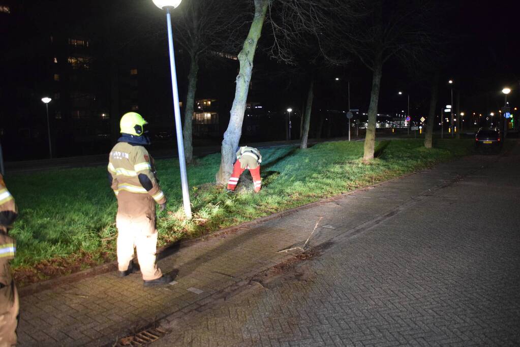 Brandweer zaagt boom omver