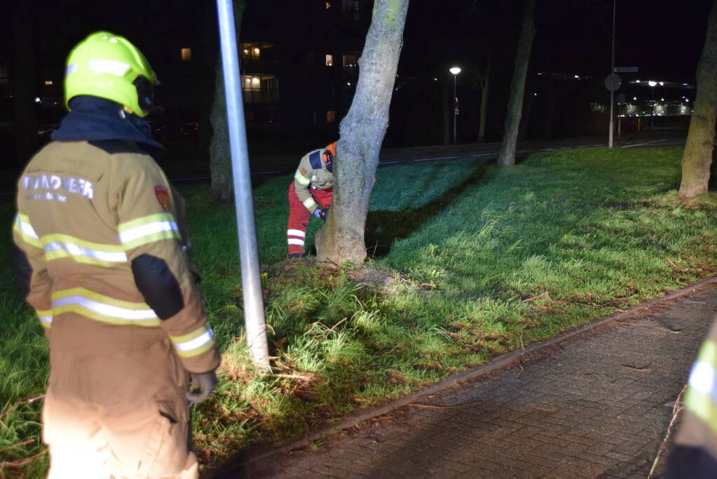 Brandweer zaagt boom omver