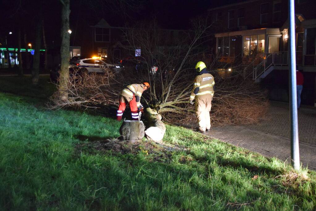 Brandweer zaagt boom omver