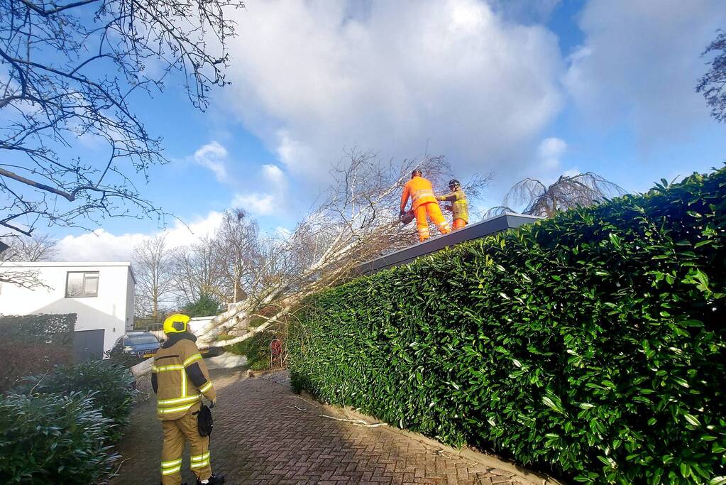 Omgewaaide boom verspert doorgang