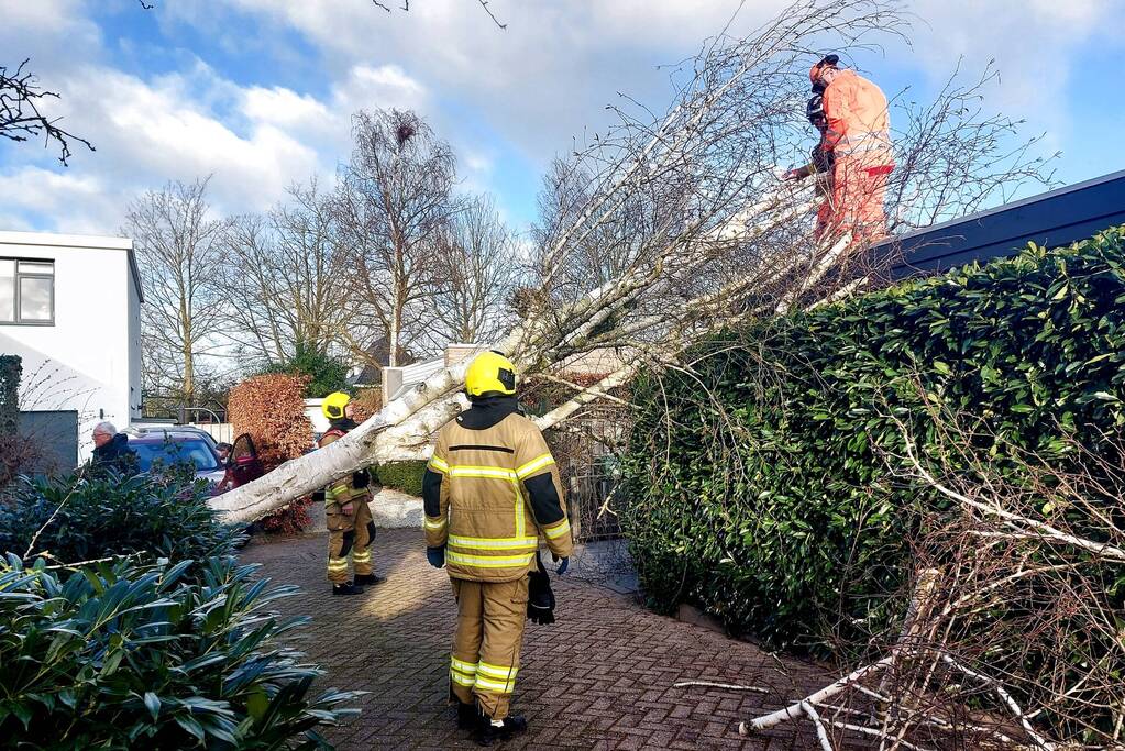 Omgewaaide boom verspert doorgang