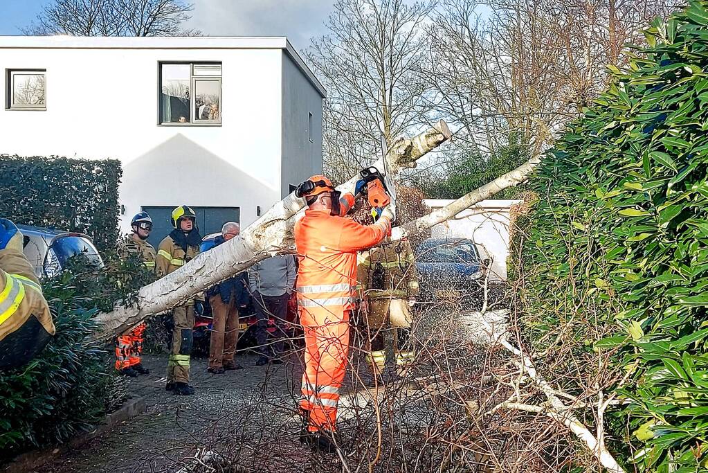 Omgewaaide boom verspert doorgang