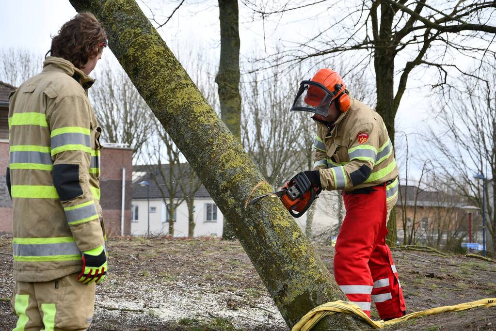 Brandweer ingezet voor twee omgevallen bomen