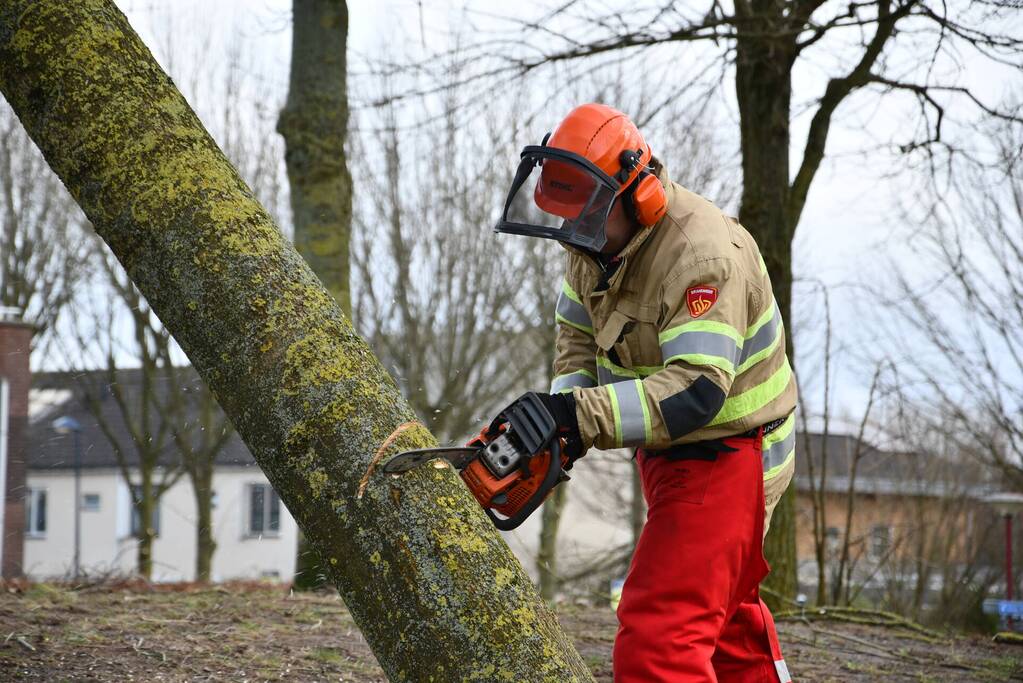 Brandweer ingezet voor twee omgevallen bomen