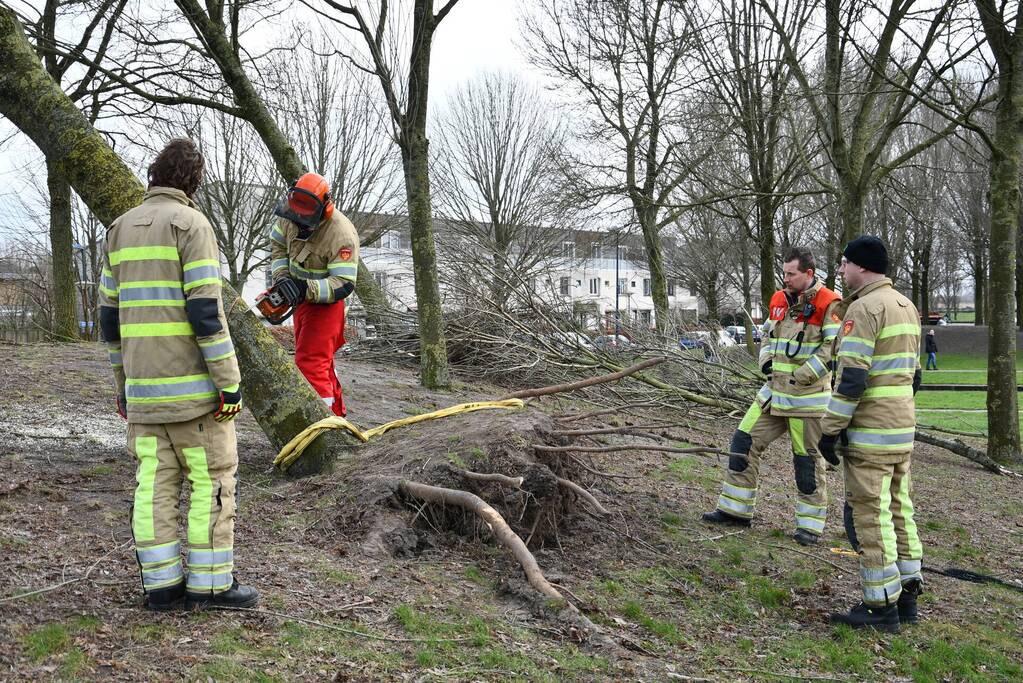 Brandweer ingezet voor twee omgevallen bomen