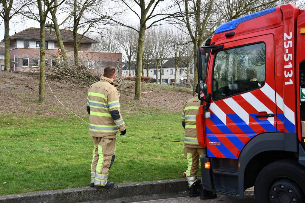 Brandweer ingezet voor twee omgevallen bomen