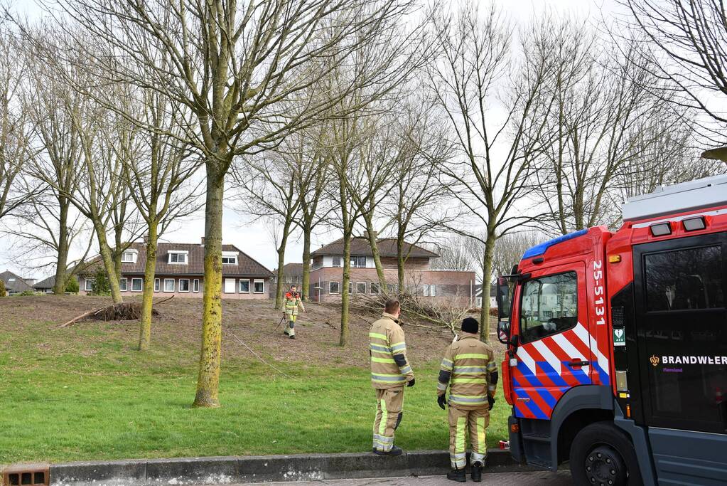 Brandweer ingezet voor twee omgevallen bomen