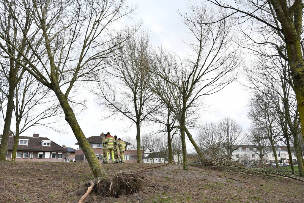 Brandweer ingezet voor twee omgevallen bomen