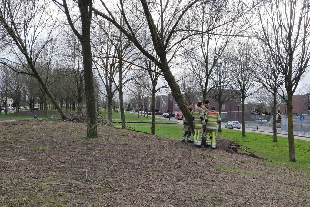 Brandweer ingezet voor twee omgevallen bomen