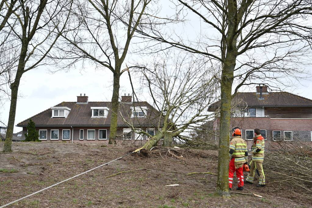 Brandweer ingezet voor twee omgevallen bomen