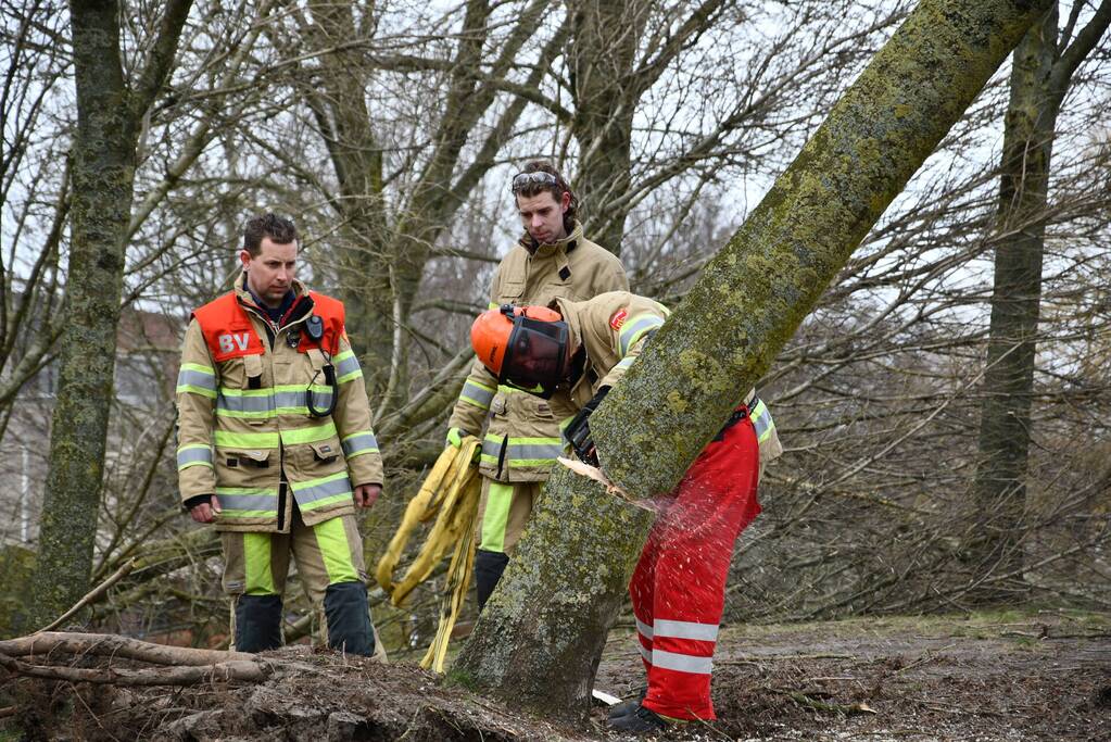 Brandweer ingezet voor twee omgevallen bomen