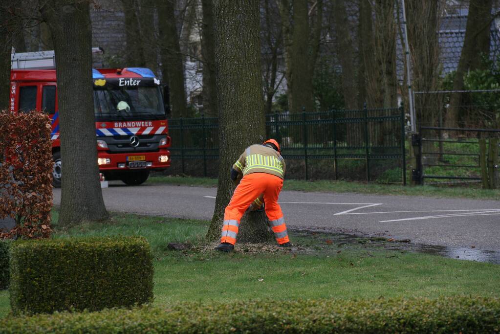 Boom veroorzaakt waterlekkage