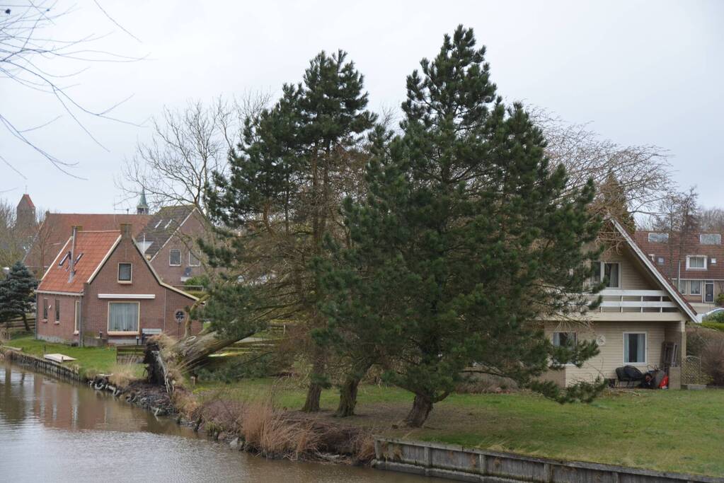 Grote boom omgewaaid op woning