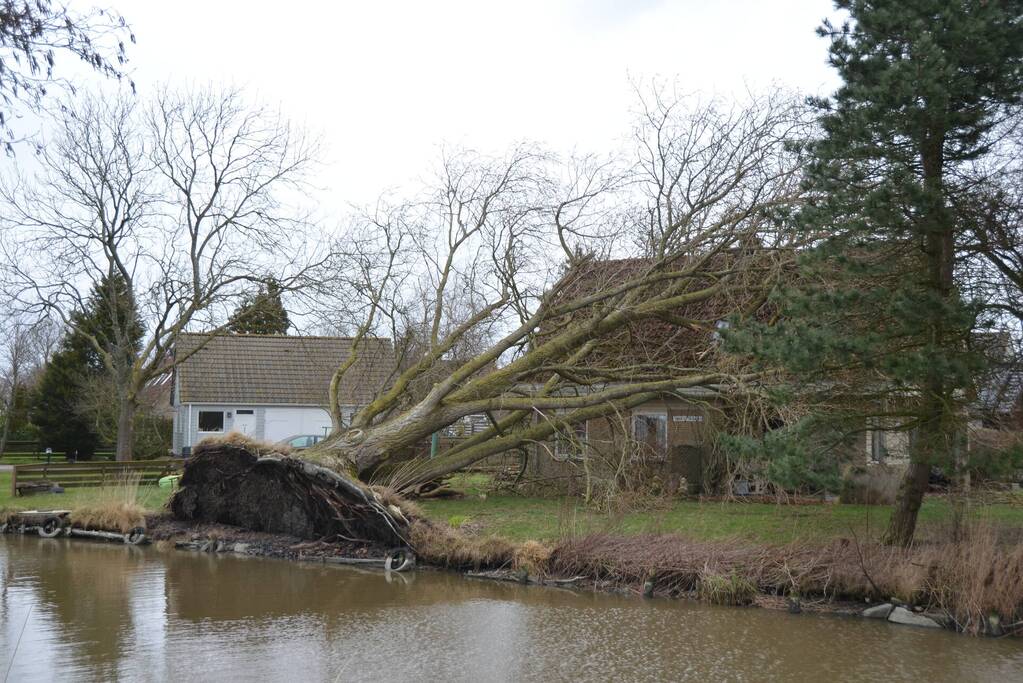 Grote boom omgewaaid op woning