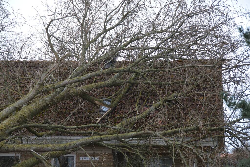 Grote boom omgewaaid op woning