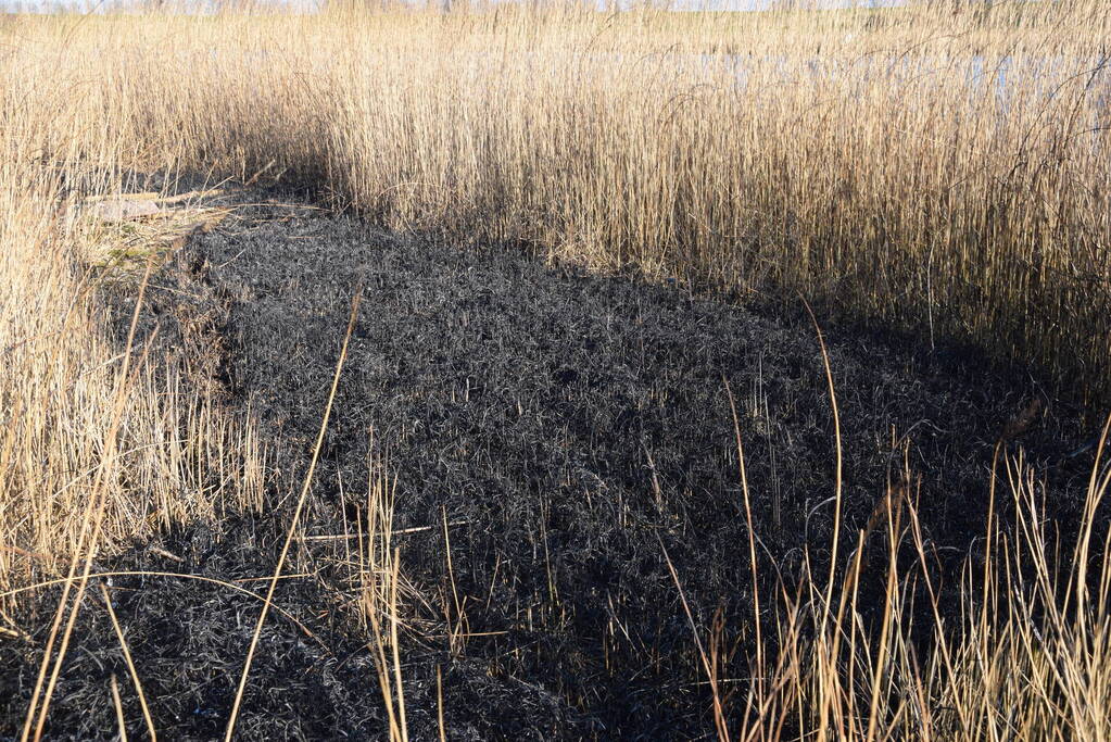 Opnieuw brandstichting bij Kaaskenswater