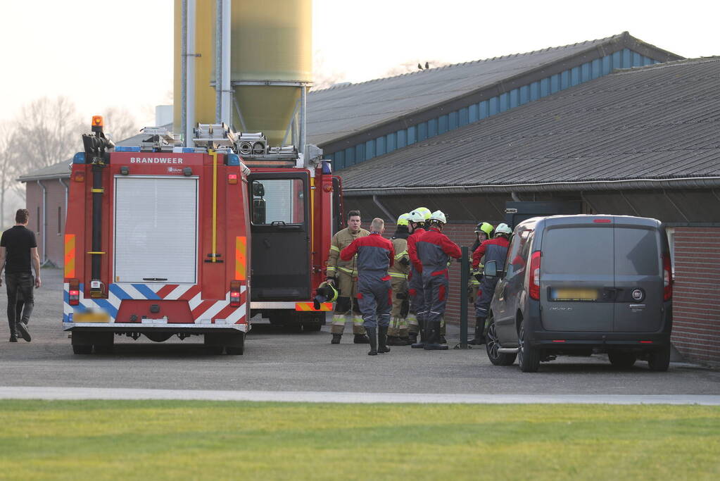 Brandweer haalt varken uit gierput