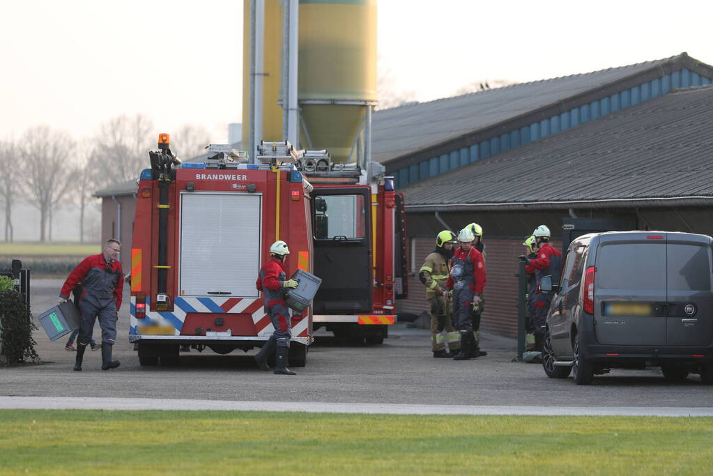 Brandweer haalt varken uit gierput