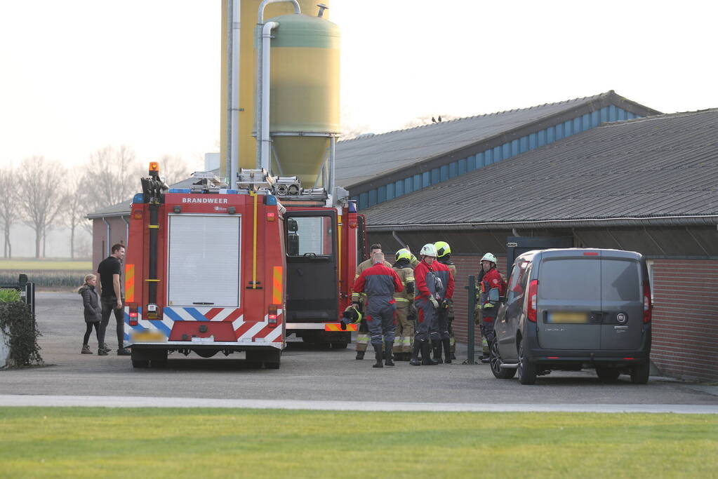 Brandweer haalt varken uit gierput