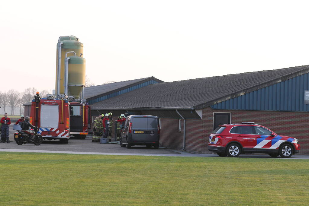 Brandweer haalt varken uit gierput