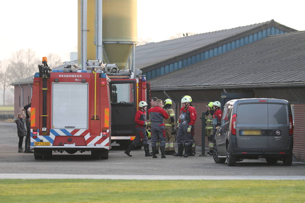 Brandweer haalt varken uit gierput