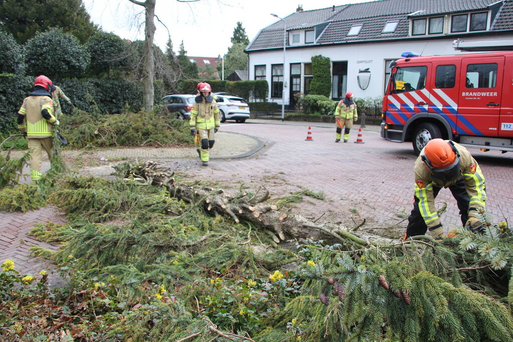 Boom valt vanuit voortuin over straat