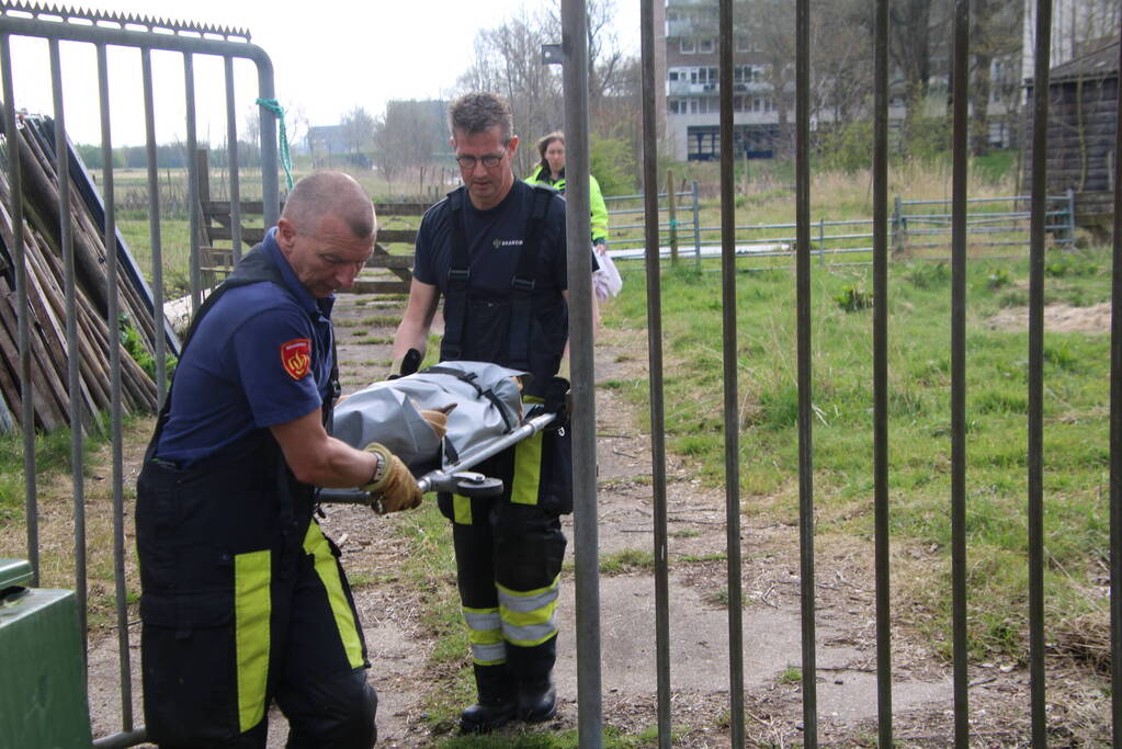 Ree door brandweer gered uit schiphuis