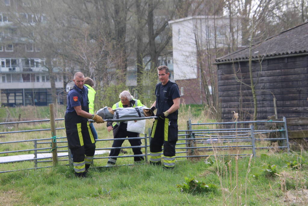 Ree door brandweer gered uit schiphuis