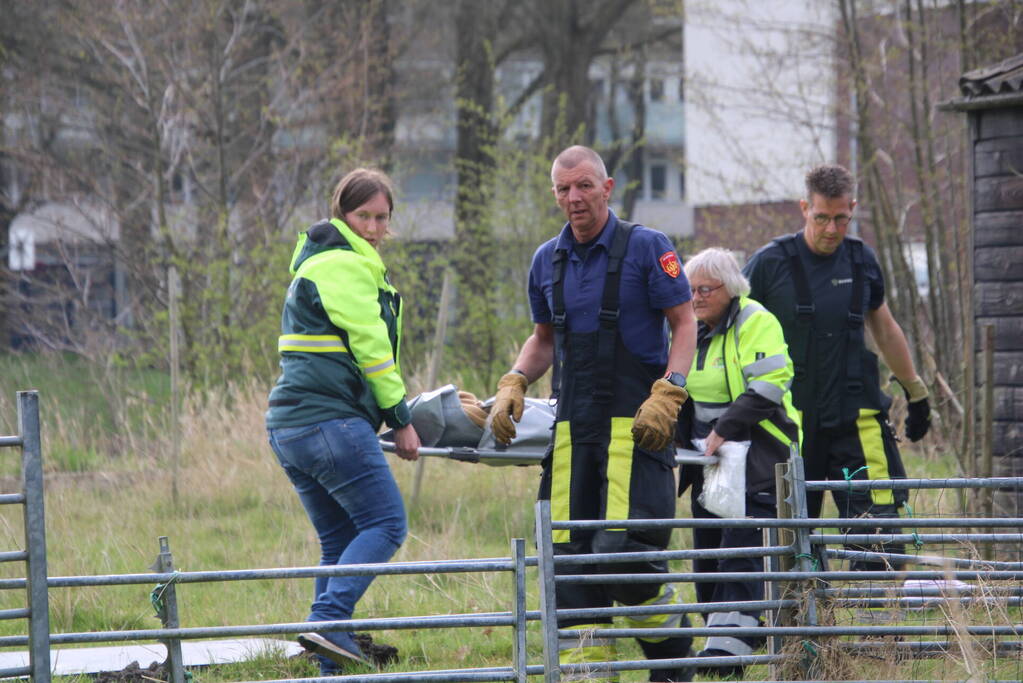 Ree door brandweer gered uit schiphuis