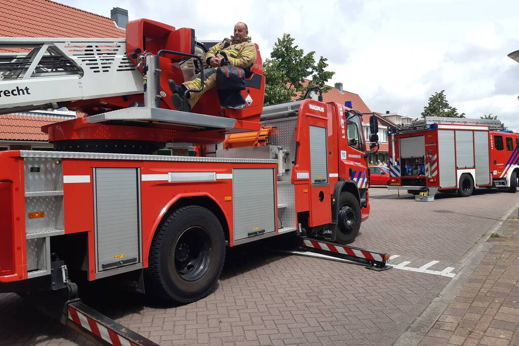 Verzwakte zwaan door brandweer bevrijdt van dakkapel